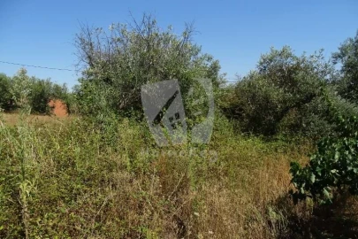 Terreno para Venda em Santo Andre das Tojeiras