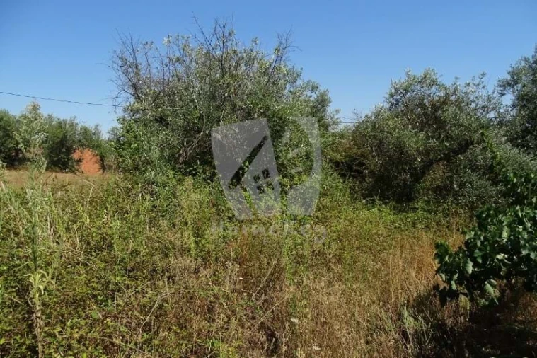 Terreno para Venda em Santo Andre das Tojeiras Foto 8