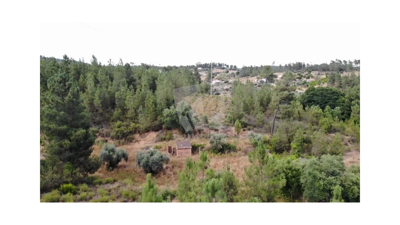 Terreno Agricola ou Rústico para Venda em Santo Andre das Tojeiras Foto 19