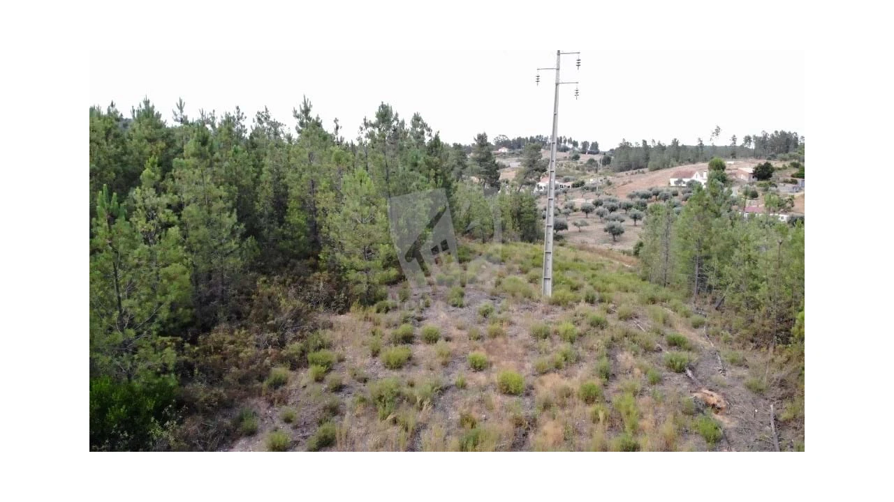 Terreno Agricola ou Rústico para Venda em Santo Andre das Tojeiras Foto 20