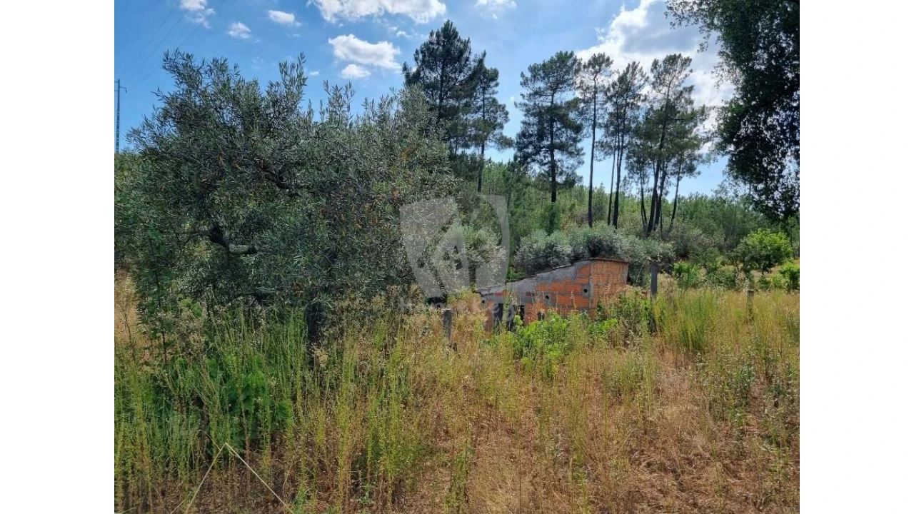 Terreno Agricola ou Rústico para Venda em Santo Andre das Tojeiras Foto 16