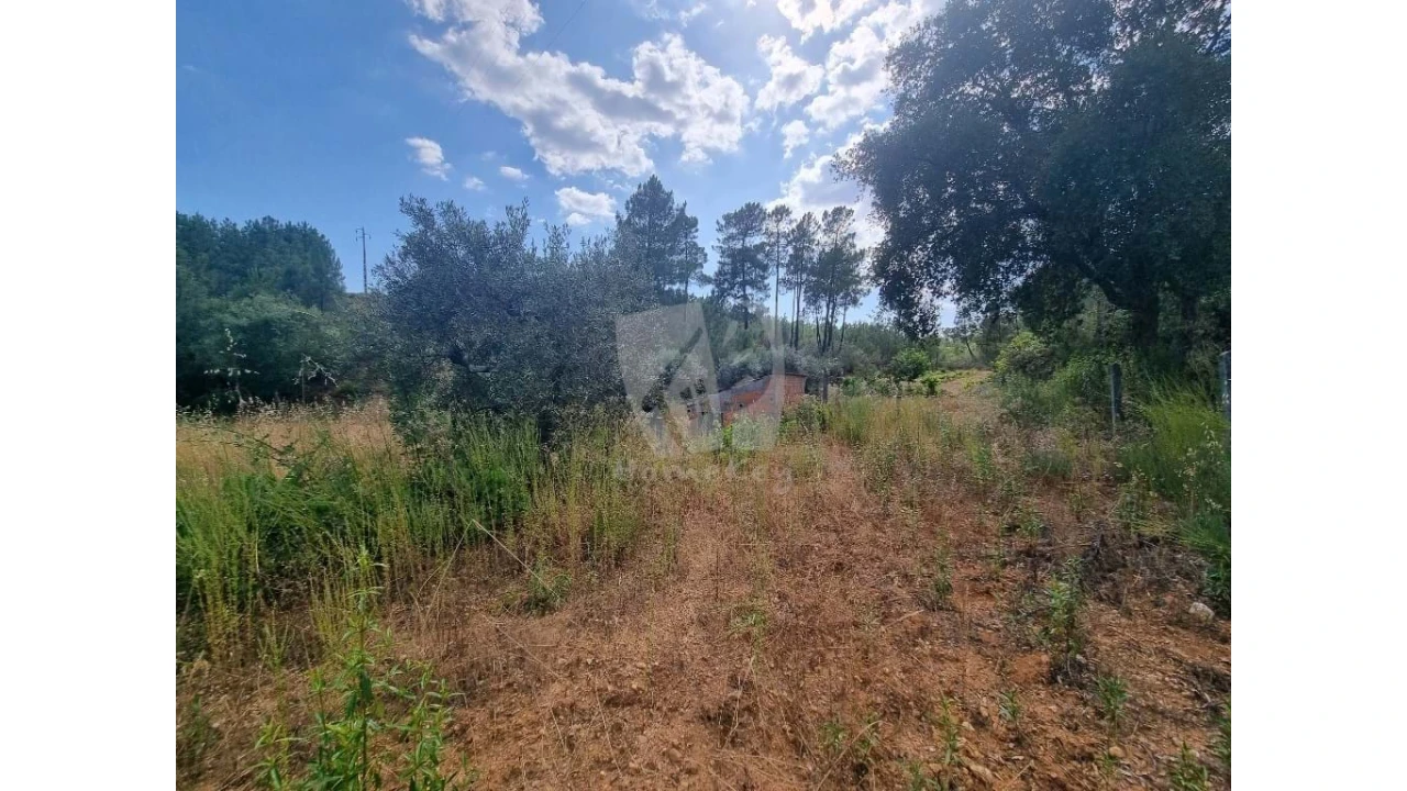 Terreno Agricola ou Rústico para Venda em Santo Andre das Tojeiras Foto 15