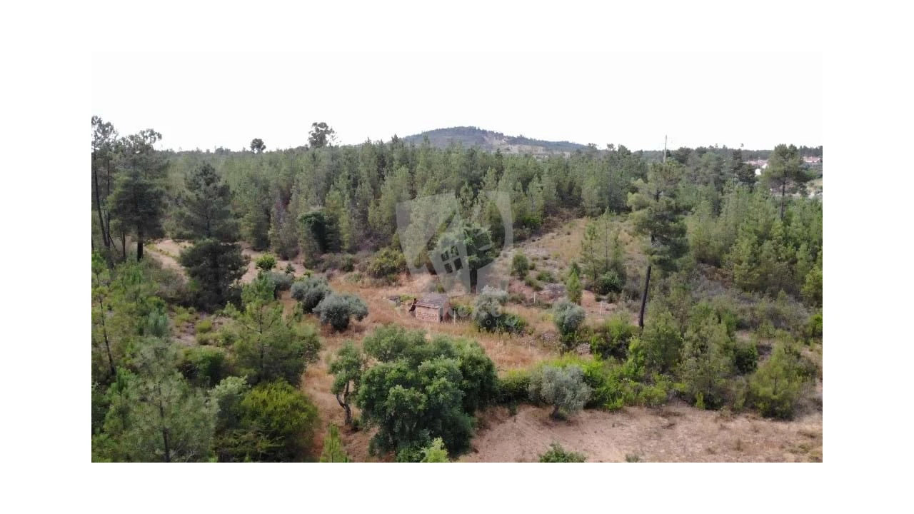 Terreno Agricola ou Rústico para Venda em Santo Andre das Tojeiras Foto 17