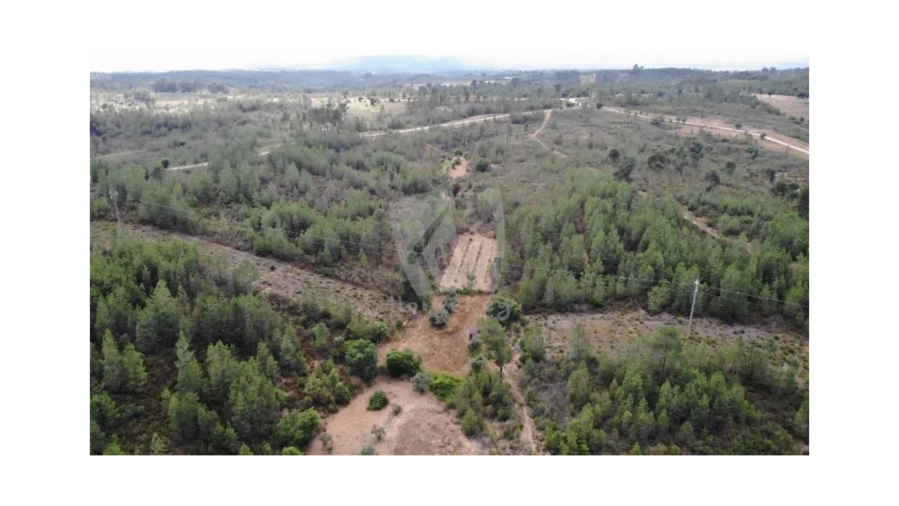 Terreno Agricola ou Rústico para Venda em Santo Andre das Tojeiras Foto 2