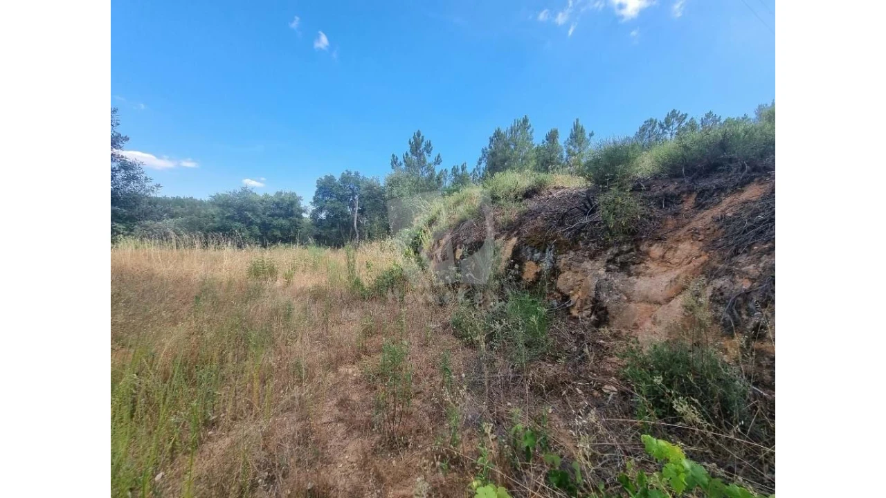 Terreno Agricola ou Rústico para Venda em Santo Andre das Tojeiras Foto 6
