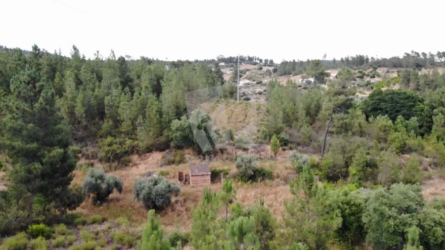 Terreno Agricola ou Rústico para Venda em Santo Andre das Tojeiras Foto 19