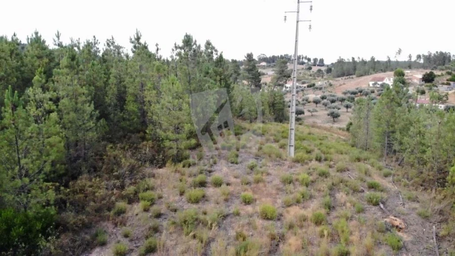 Terreno Agricola ou Rústico para Venda em Santo Andre das Tojeiras Foto 20