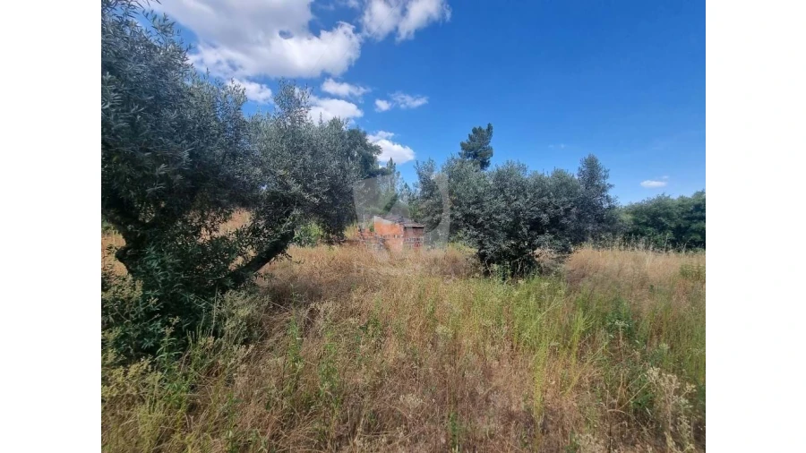 Terreno Agricola ou Rústico para Venda em Santo Andre das Tojeiras Foto 5