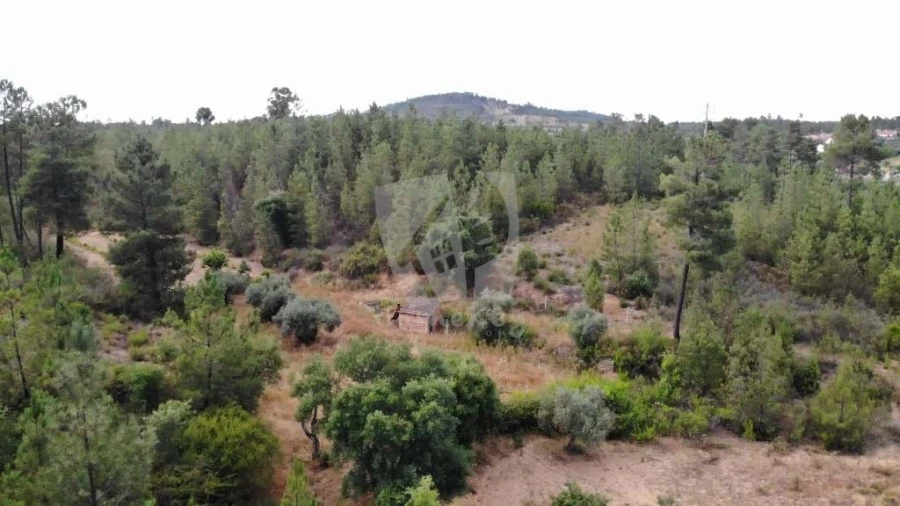 Terreno Agricola ou Rústico para Venda em Santo Andre das Tojeiras Foto 17