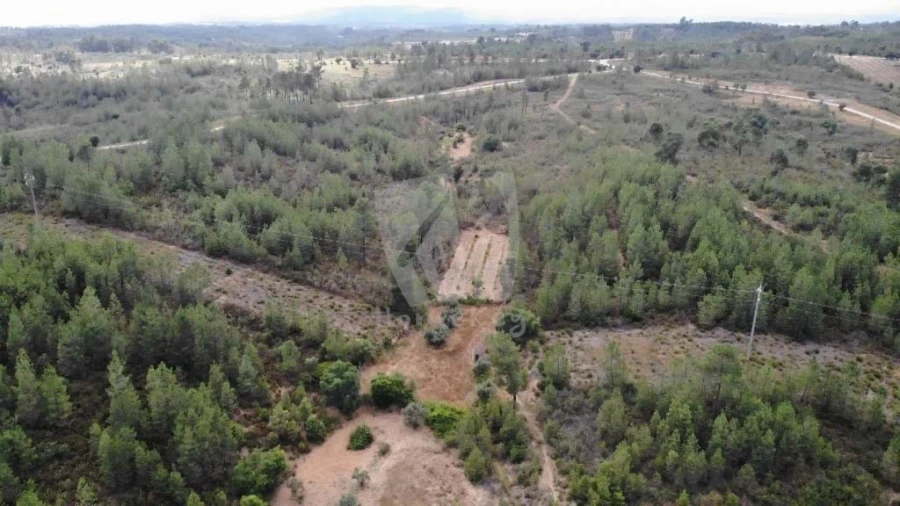 Terreno Agricola ou Rústico para Venda em Santo Andre das Tojeiras Foto 2