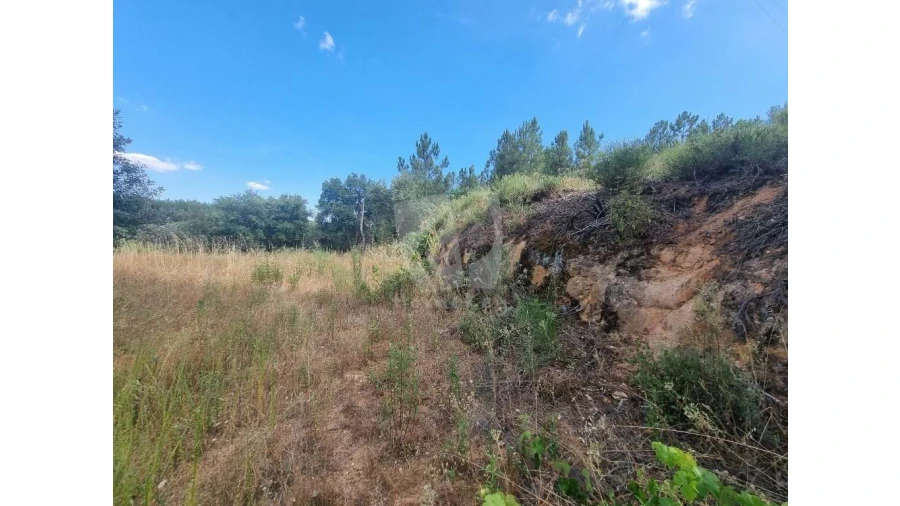 Terreno Agricola ou Rústico para Venda em Santo Andre das Tojeiras Foto 6