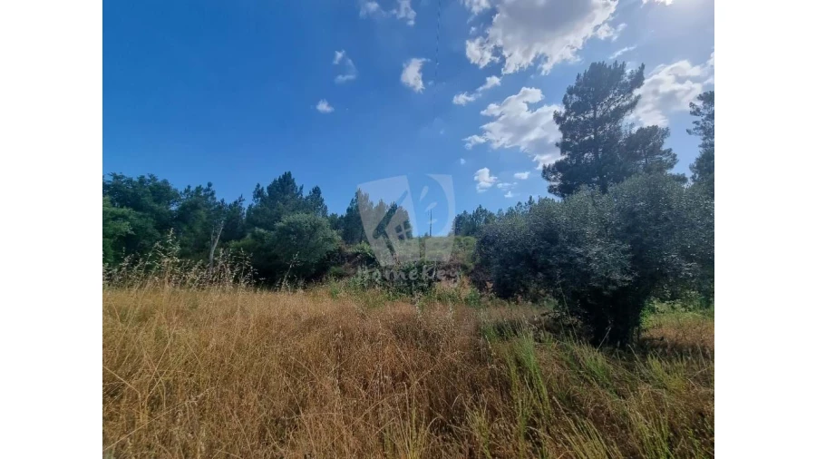 Terreno Agricola ou Rústico para Venda em Santo Andre das Tojeiras Foto 14