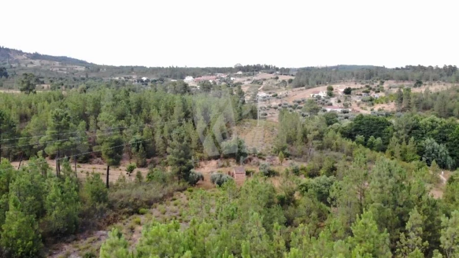 Terreno Agricola ou Rústico para Venda em Santo Andre das Tojeiras Foto 18
