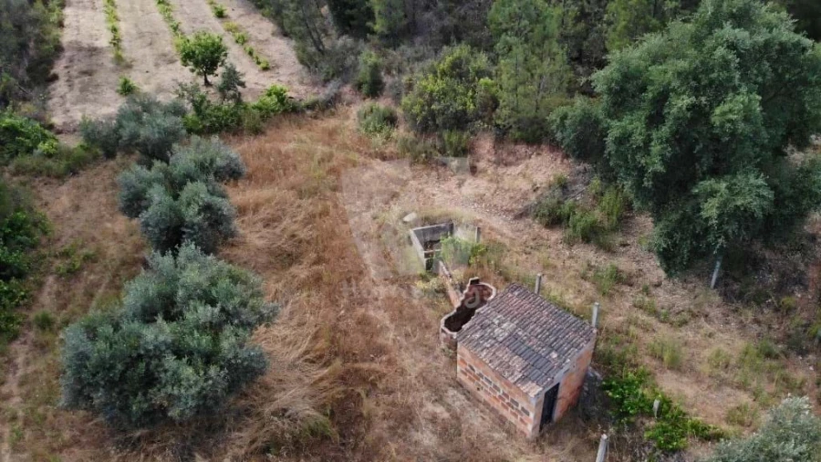 Terreno Agricola ou Rústico para Venda em Santo Andre das Tojeiras
