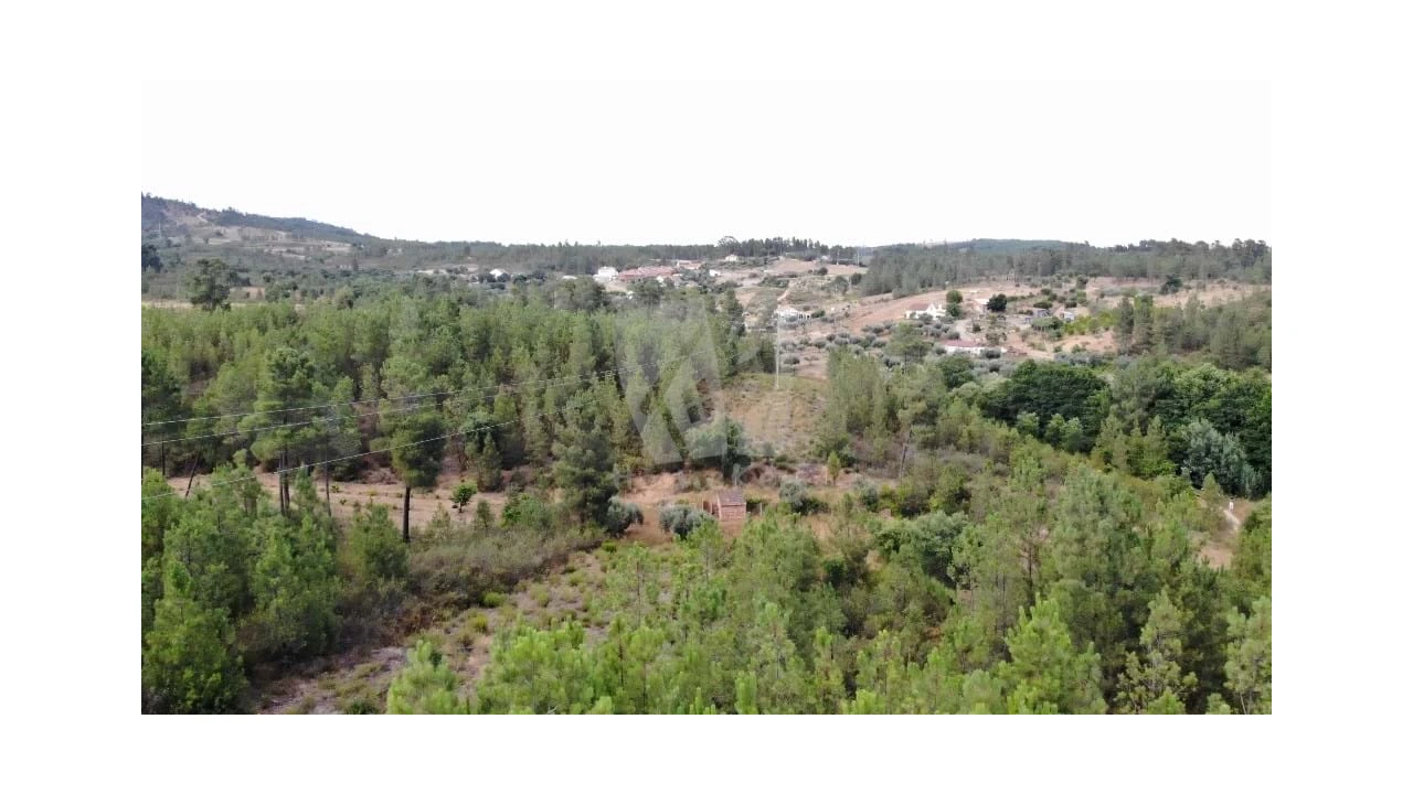 Terreno Agricola ou Rústico para Venda em Santo Andre das Tojeiras Foto 18