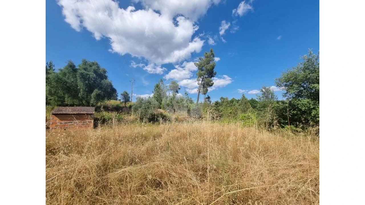 Terreno Agricola ou Rústico para Venda em Santo Andre das Tojeiras Foto 9
