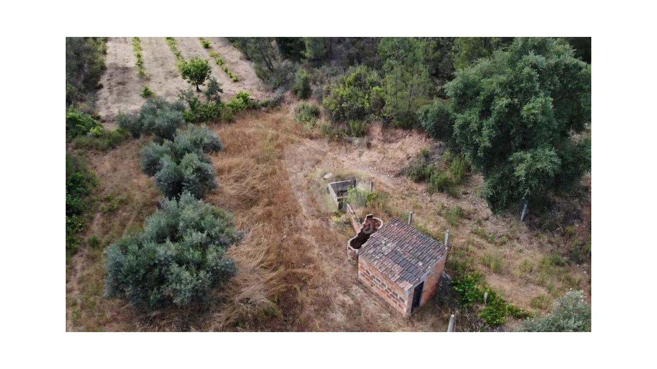 Terreno Agricola ou Rústico para Venda em Santo Andre das Tojeiras Foto 1