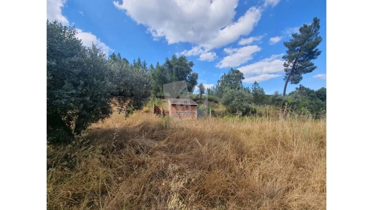 Terreno Agricola ou Rústico para Venda em Santo Andre das Tojeiras Foto 7