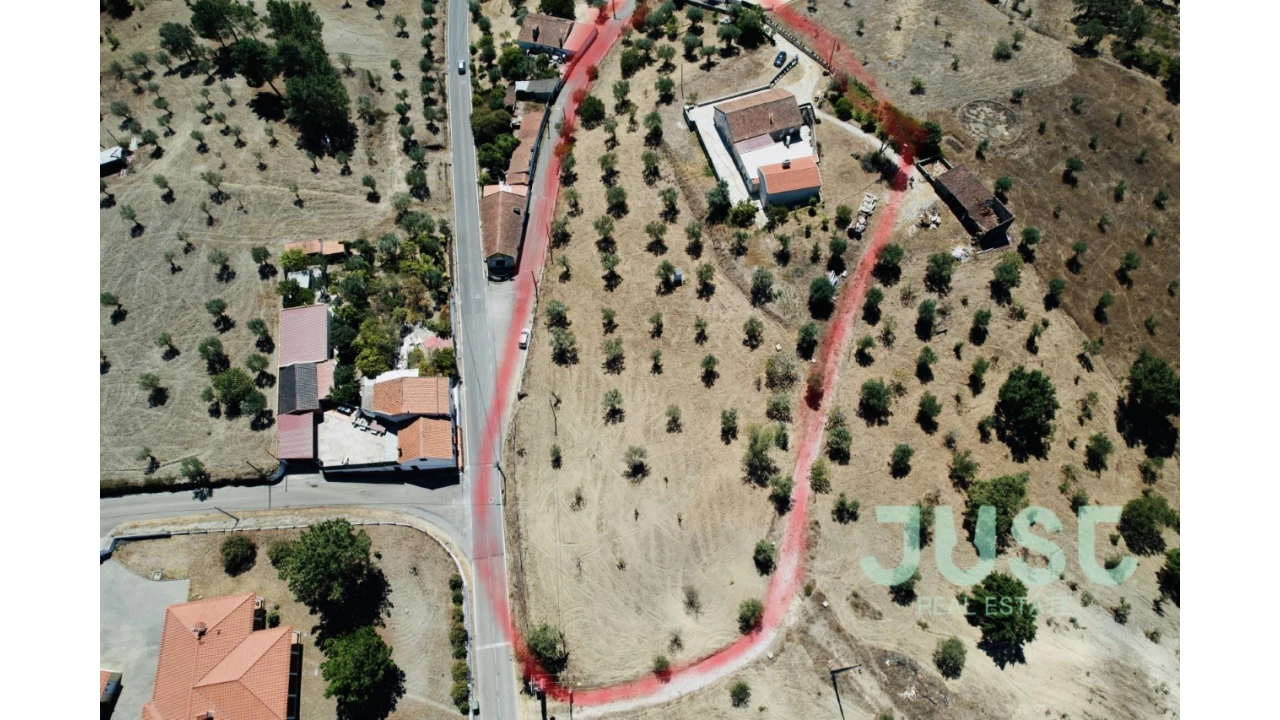 Quinta T7 para Venda em Mouriscas Foto 1