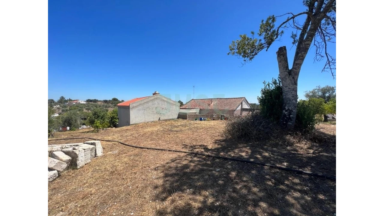 Quinta T7 para Venda em Mouriscas Foto 23