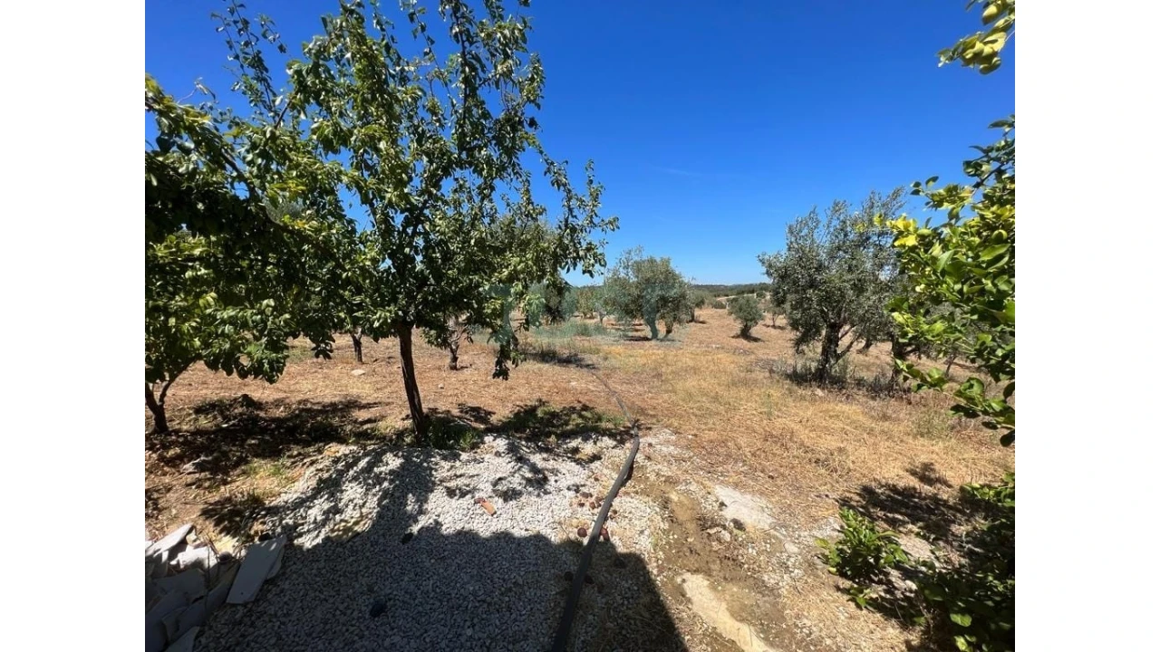 Quinta T7 para Venda em Mouriscas Foto 24