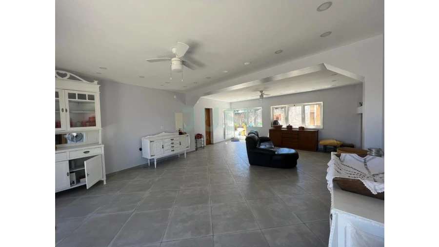 Quinta T7 para Venda em Mouriscas Foto 14