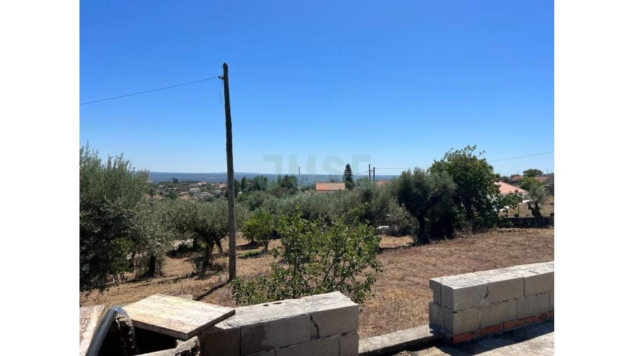 Quinta T7 para Venda em Mouriscas Foto 26