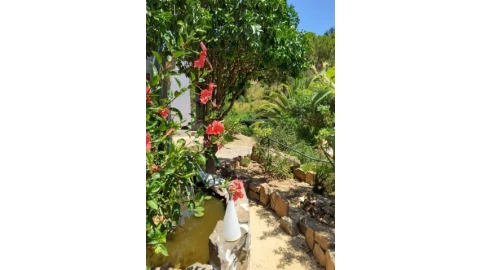Moradia T6 para Venda em Santa Catarina da Fonte do Bispo