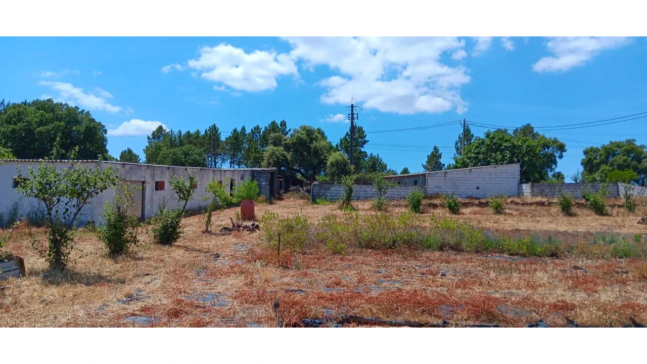 Terreno para Venda em Envendos Foto 2