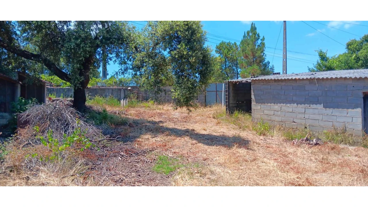 Terreno para Venda em Envendos Foto 6