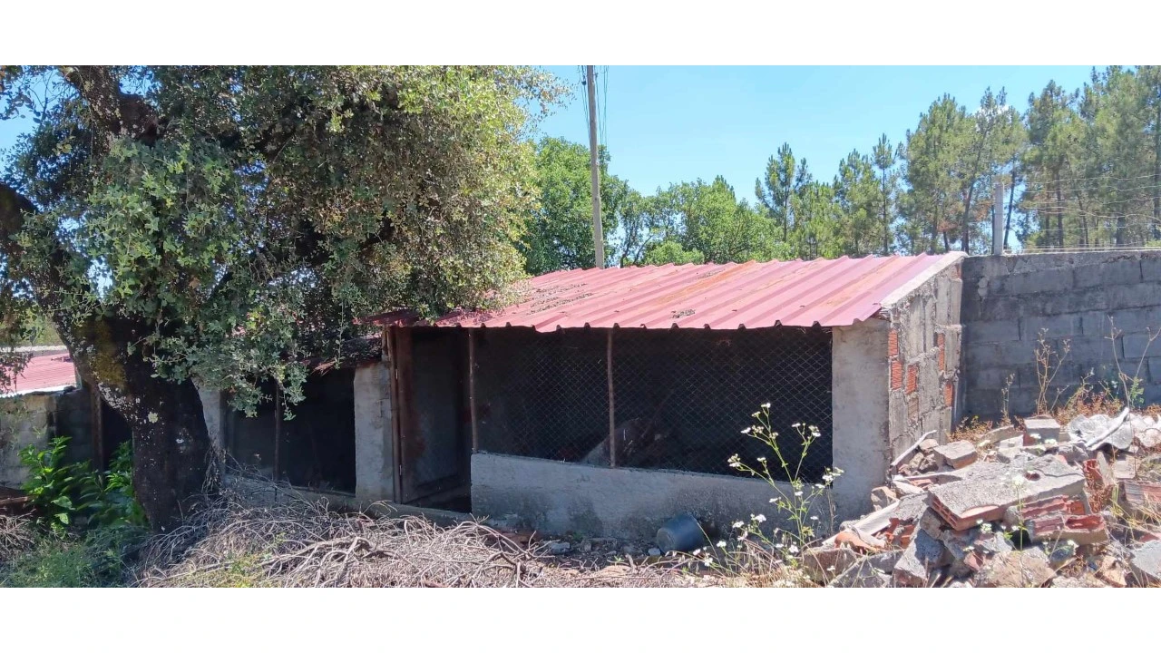 Terreno para Venda em Envendos Foto 10