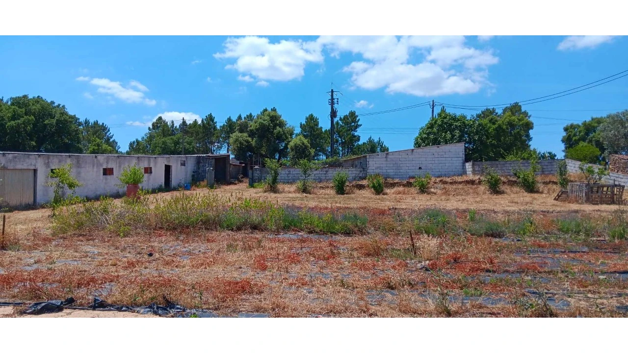 Terreno para Venda em Envendos Foto 17