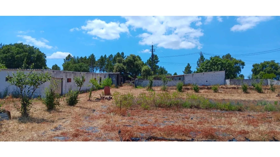 Terreno para Venda em Envendos Foto 2