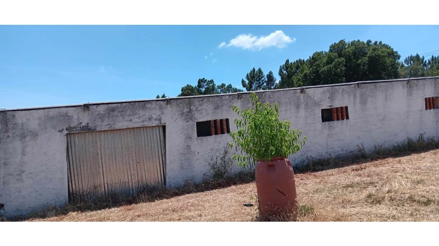 Terreno para Venda em Envendos Foto 4