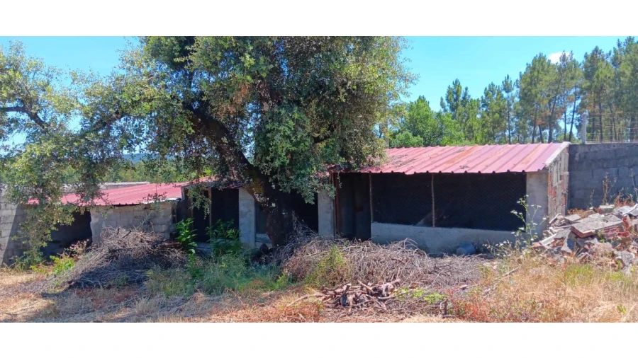 Terreno para Venda em Envendos Foto 8