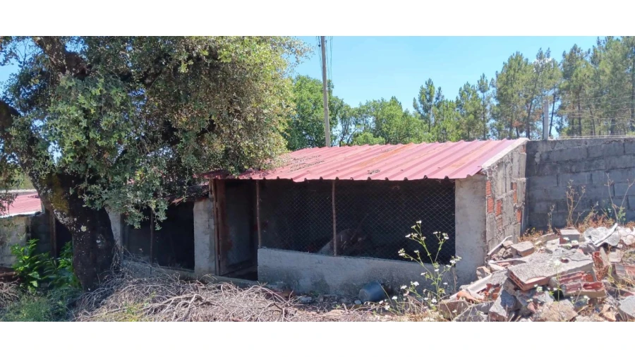 Terreno para Venda em Envendos Foto 10