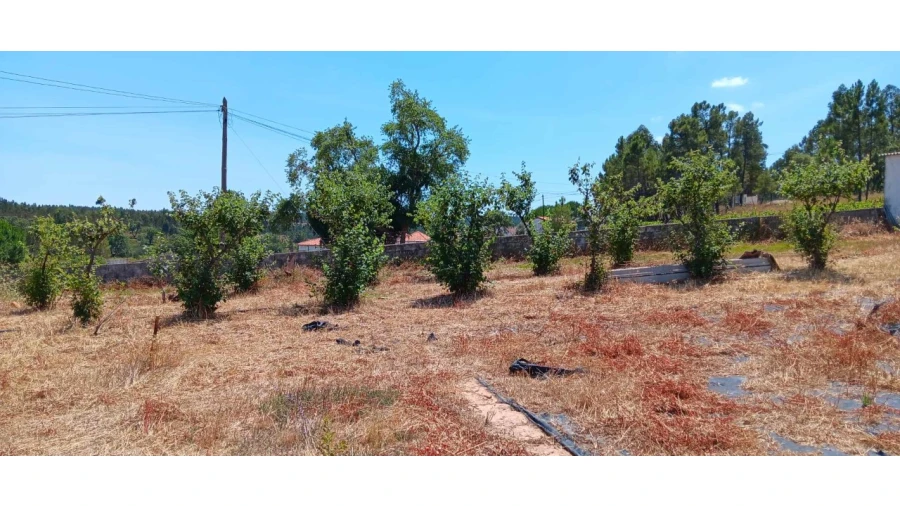 Terreno para Venda em Envendos Foto 16