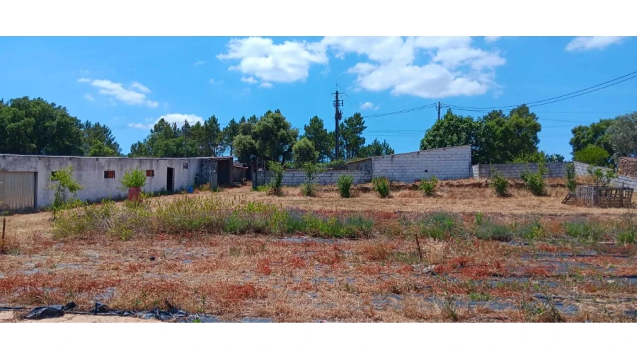 Terreno para Venda em Envendos Foto 17