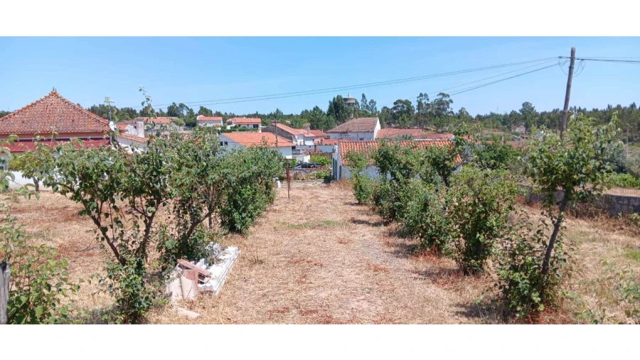 Terreno para Venda em Envendos Foto 19