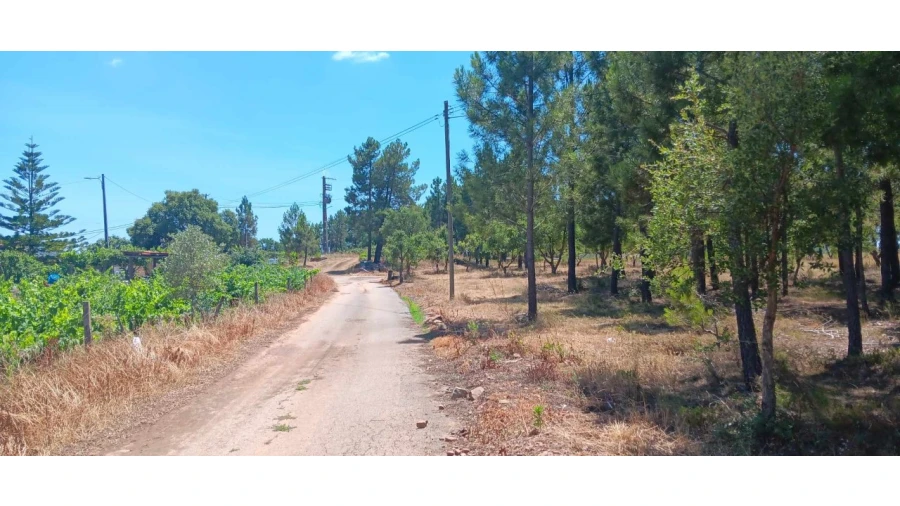 Terreno para Venda em Envendos Foto 22