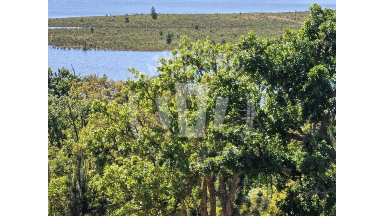 Terreno para Venda em São Domingos e Vale de Água Foto 8