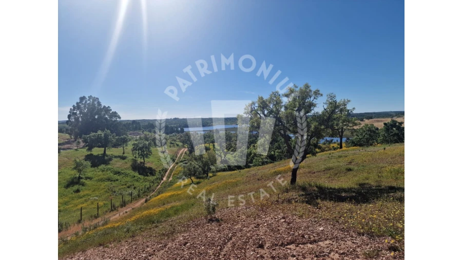 Terreno para Venda em São Domingos e Vale de Água Foto 1