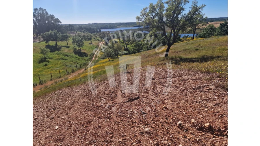 Terreno para Venda em São Domingos e Vale de Água Foto 2