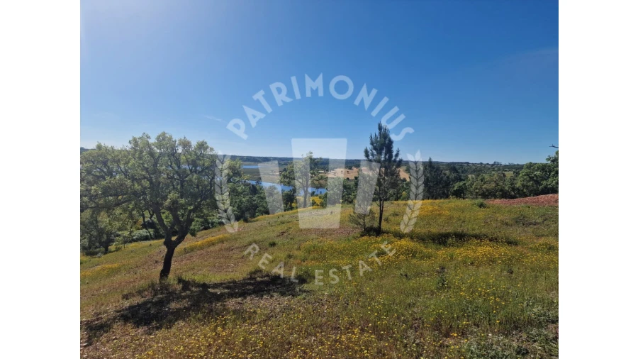 Terreno para Venda em São Domingos e Vale de Água Foto 3
