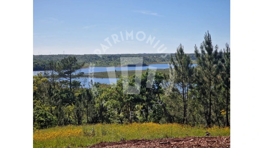 Terreno para Venda em São Domingos e Vale de Água Foto 4