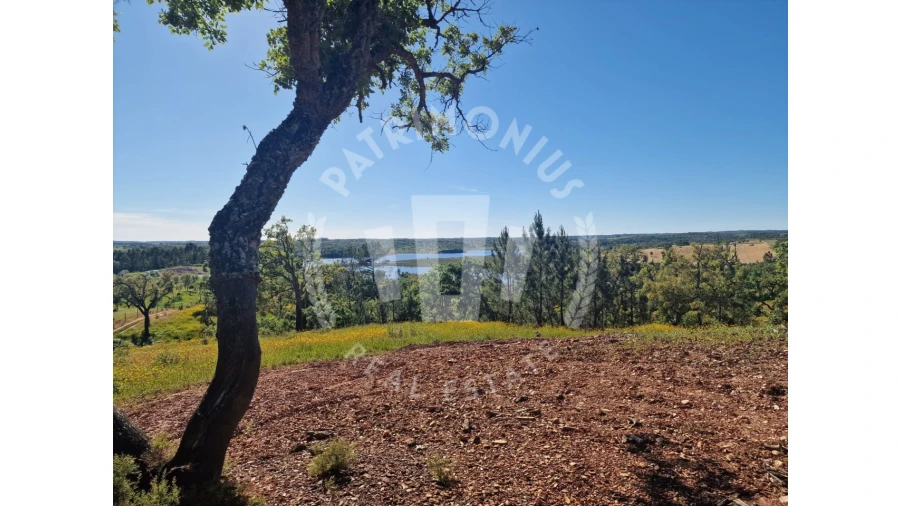 Terreno para Venda em São Domingos e Vale de Água Foto 5