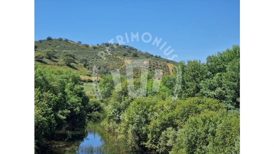 Terreno para Venda em São Domingos e Vale de Água Foto 9