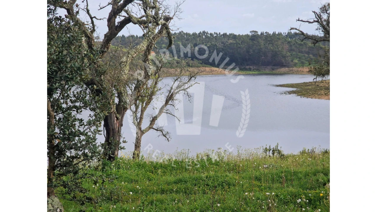 Terreno Agricola ou Rústico para Venda em Cercal Foto 3