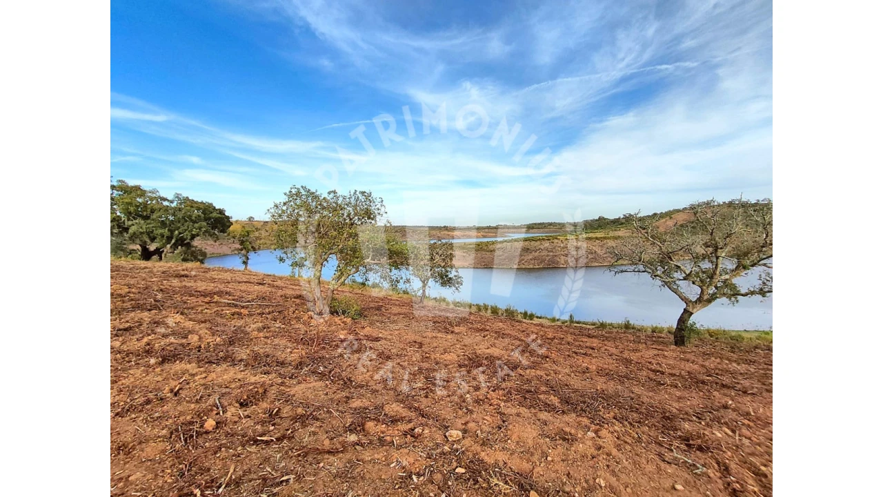 Terreno Agricola ou Rústico para Venda em Cercal Foto 6