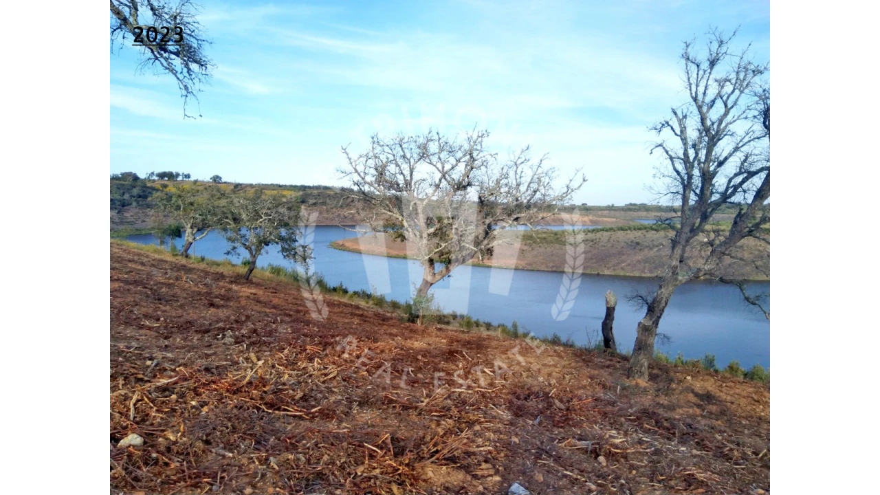 Terreno Agricola ou Rústico para Venda em Cercal Foto 7